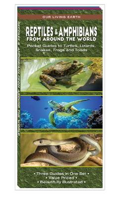 Book cover for Reptiles & Amphibians from Around the World