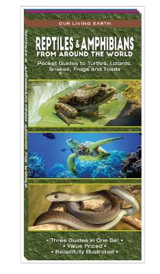 Cover of Reptiles & Amphibians from Around the World