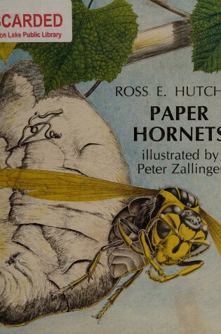 Cover of Paper Hornets