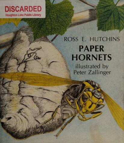 Book cover for Paper Hornets