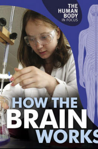 Cover of The Human Body in Focus: How The Brain Works