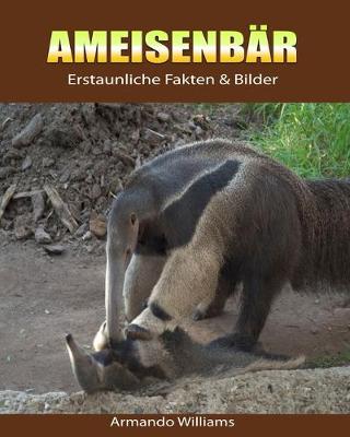 Book cover for Ameisenbar