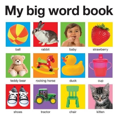 Cover of My Big Word Book