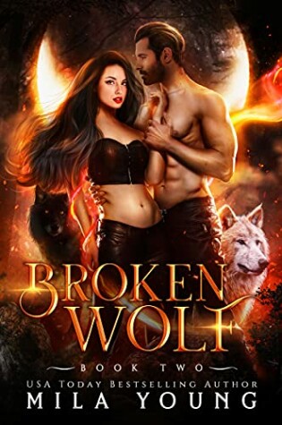 Cover of Broken Wolf