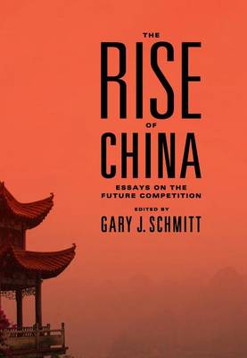 Book cover for The Rise of China: Essays on the Future Competition