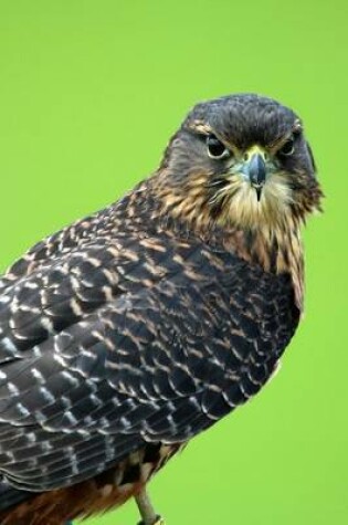 Cover of The New Zealand Falcon, Birds of the World