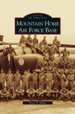Book cover for Mountain Home Air Force Base