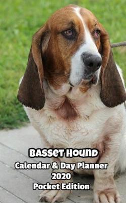 Book cover for Basset Hound Calendar & Day Planner 2020 Pocket Edition