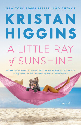 Book cover for A Little Ray of Sunshine
