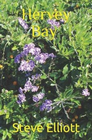 Cover of Hervey Bay