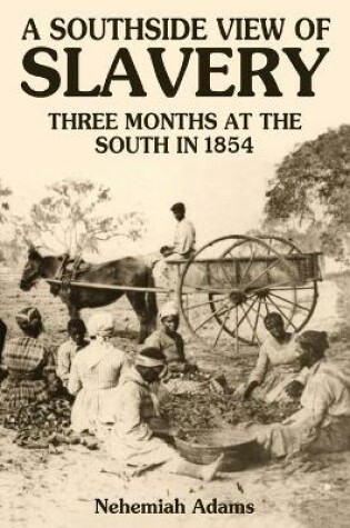 Cover of A Southside View of Slavery