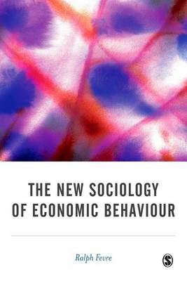 Book cover for New Sociology of Economic Behaviour