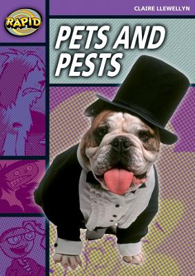 Cover of Rapid Reading: Pets and Pests (Stage 1, Level 1B)