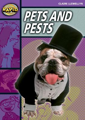 Book cover for Rapid Reading: Pets and Pests (Stage 1, Level 1B)