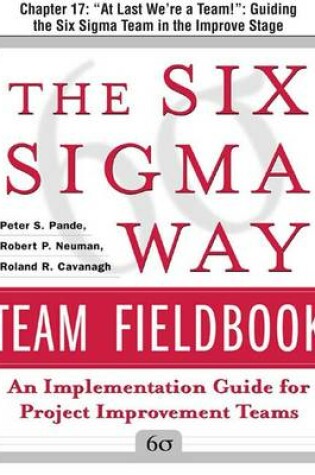 Cover of Six SIGMA Way Team Fieldbook: At Last, We're a Team
