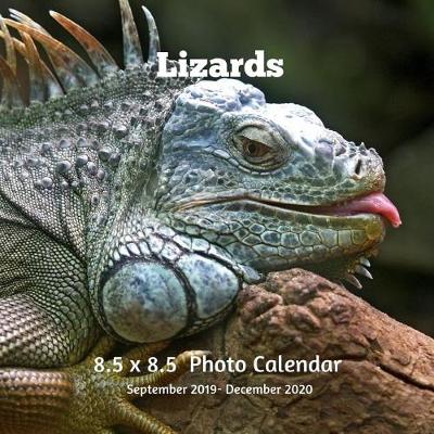 Book cover for Lizards 8.5 X 8.5 Photo Calendar September 2019 -December 2020