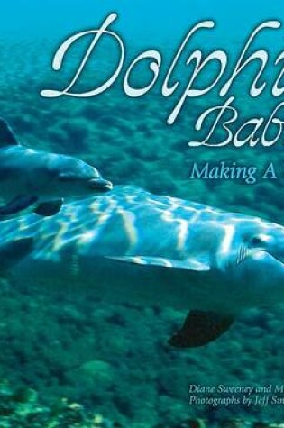 Cover of Dolphin Babies