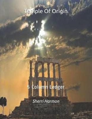 Book cover for Temple Of Origin