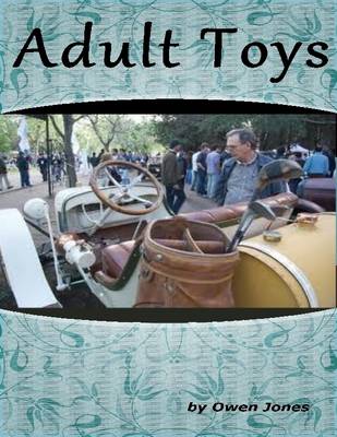 Book cover for Adult Toys