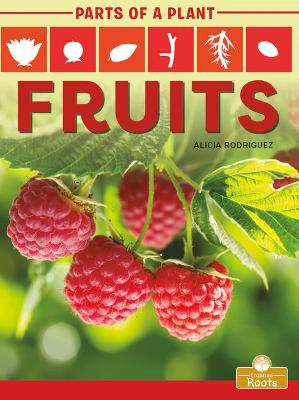 Book cover for Fruits