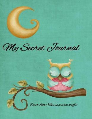 Book cover for My Secret Journal