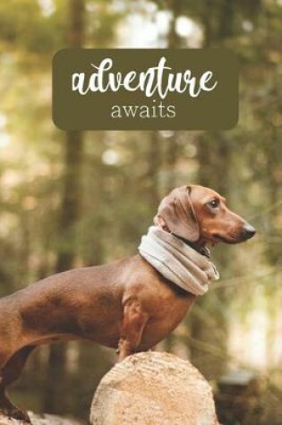 Cover of Adventure Awaits