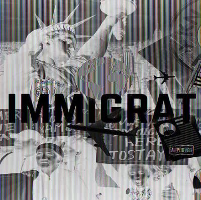 Cover of Immigration