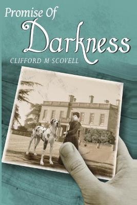 Book cover for The Promise of Darkness