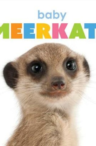 Cover of Baby Meerkats