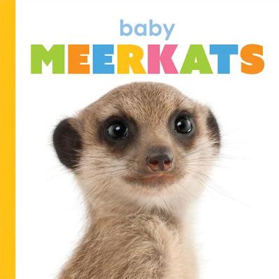 Book cover for Baby Meerkats