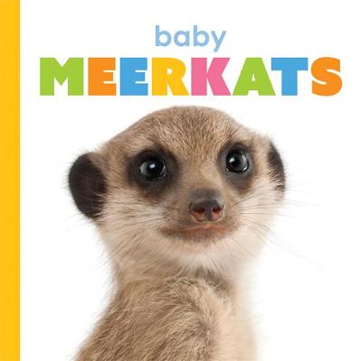 Cover of Baby Meerkats