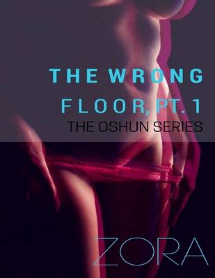 Book cover for The Wrong Floor, Pt. 1 - The Oshun Series