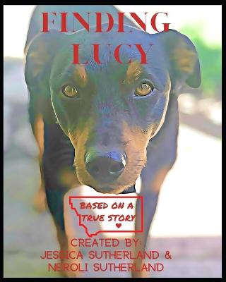 Book cover for Finding Lucy