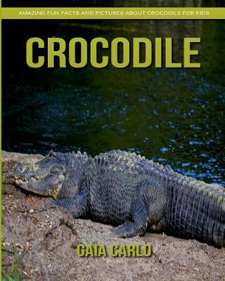 Book cover for Crocodile