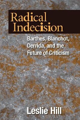 Cover of Radical Indecision