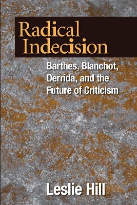 Book cover for Radical Indecision