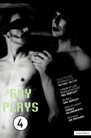 Cover of Gay Plays 4