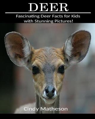 Book cover for Deer