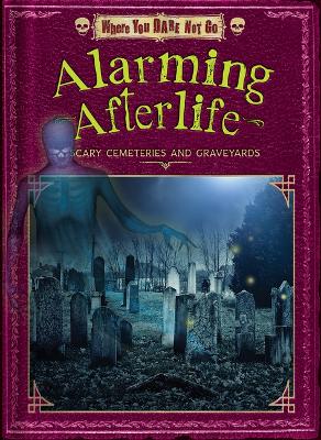 Book cover for Alarming Afterlife