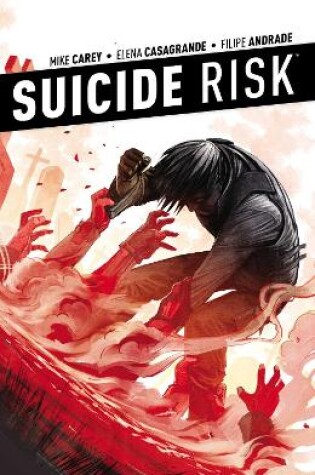 Cover of Suicide Risk Vol. 4