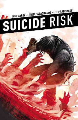 Book cover for Suicide Risk Vol. 4