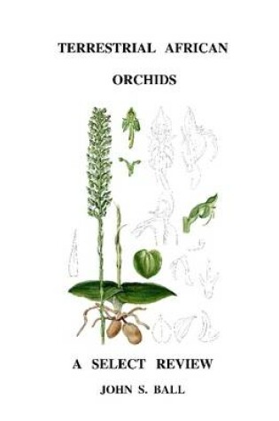 Cover of Terrestrial African Orchids