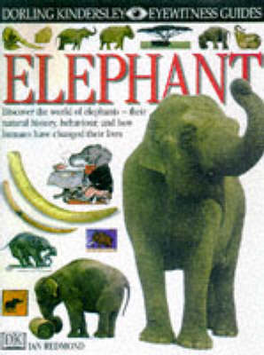 Book cover for DK Eyewitness Guides:  Elephant