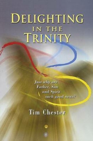 Cover of Delighting in the Trinity