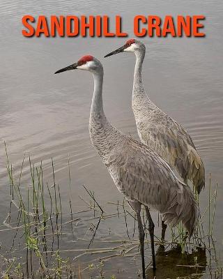 Book cover for Sandhill Crane