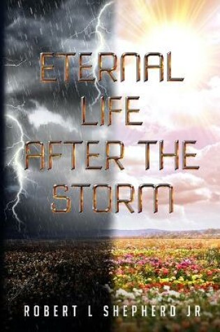 Cover of Eternal Life After The Storm