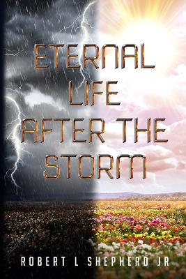 Book cover for Eternal Life After The Storm