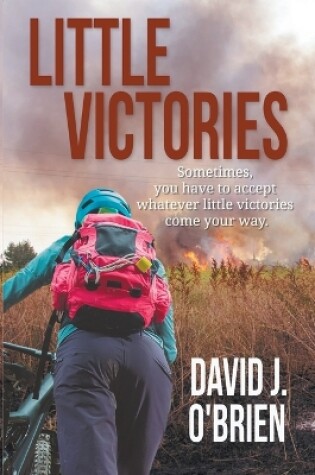 Cover of Little Victories