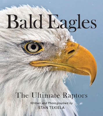 Book cover for Bald Eagles