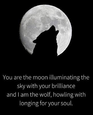 Cover of You are the Moon and I am the Wolf